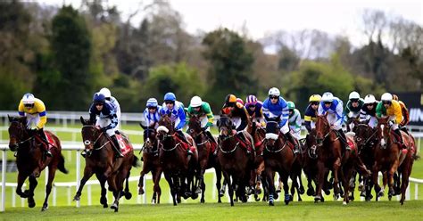 punchestown news|Punchestown Races .